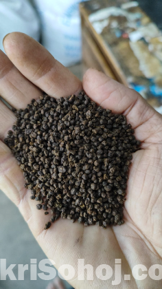 Ordinal Pure Tea